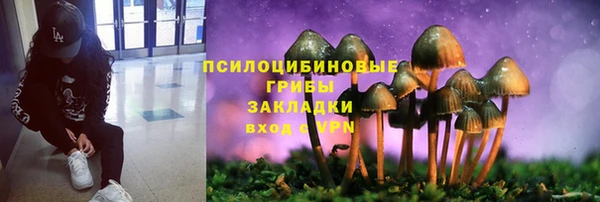 гидропоника Лихославль