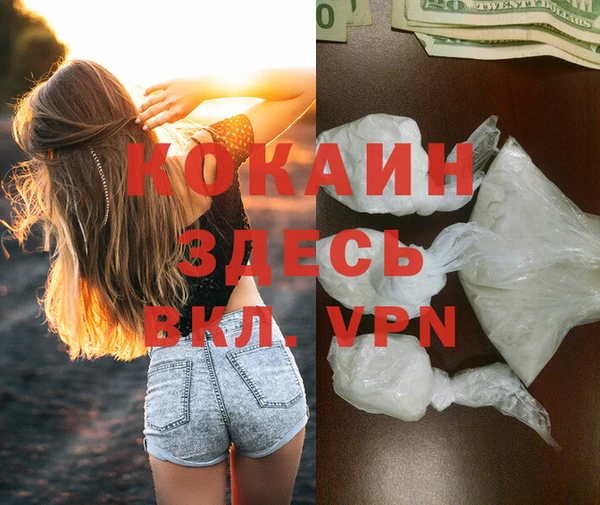 спиды Лиски
