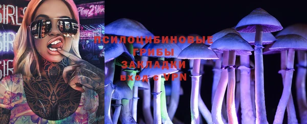 спиды Лиски